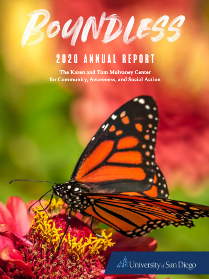 2020 annual report cover