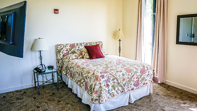 Single hotel room with ornate decorations