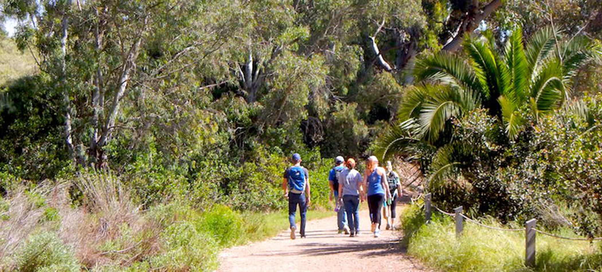 Students on a service trip