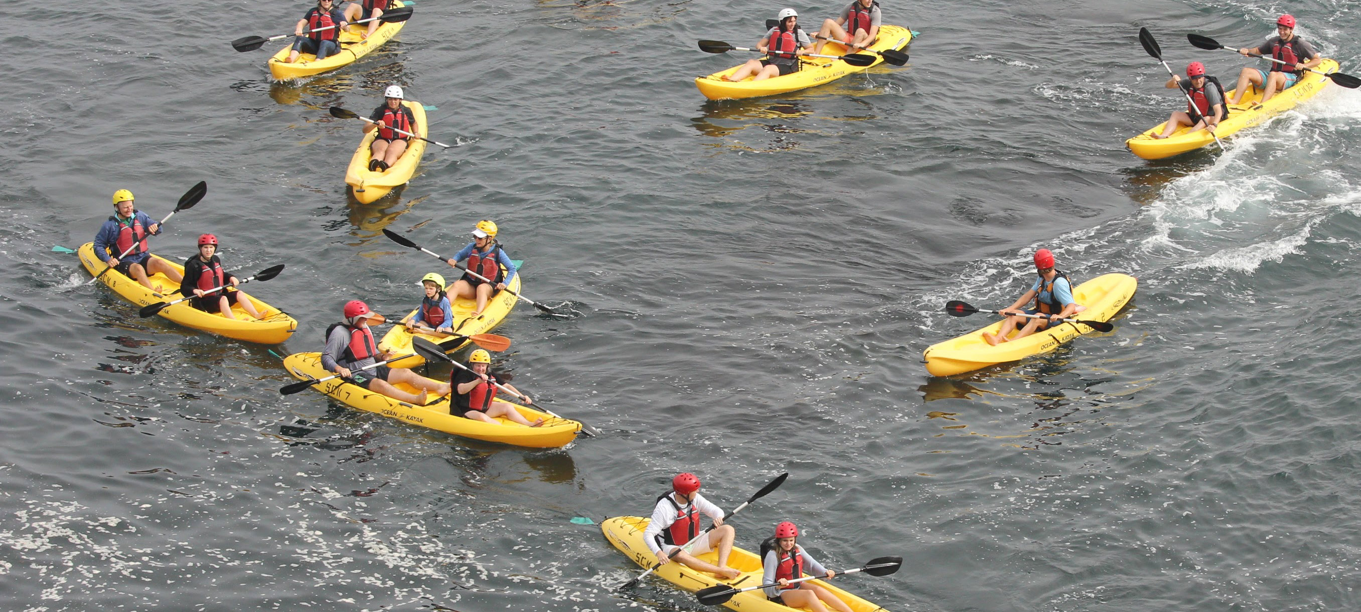 Students kayaking on the bay