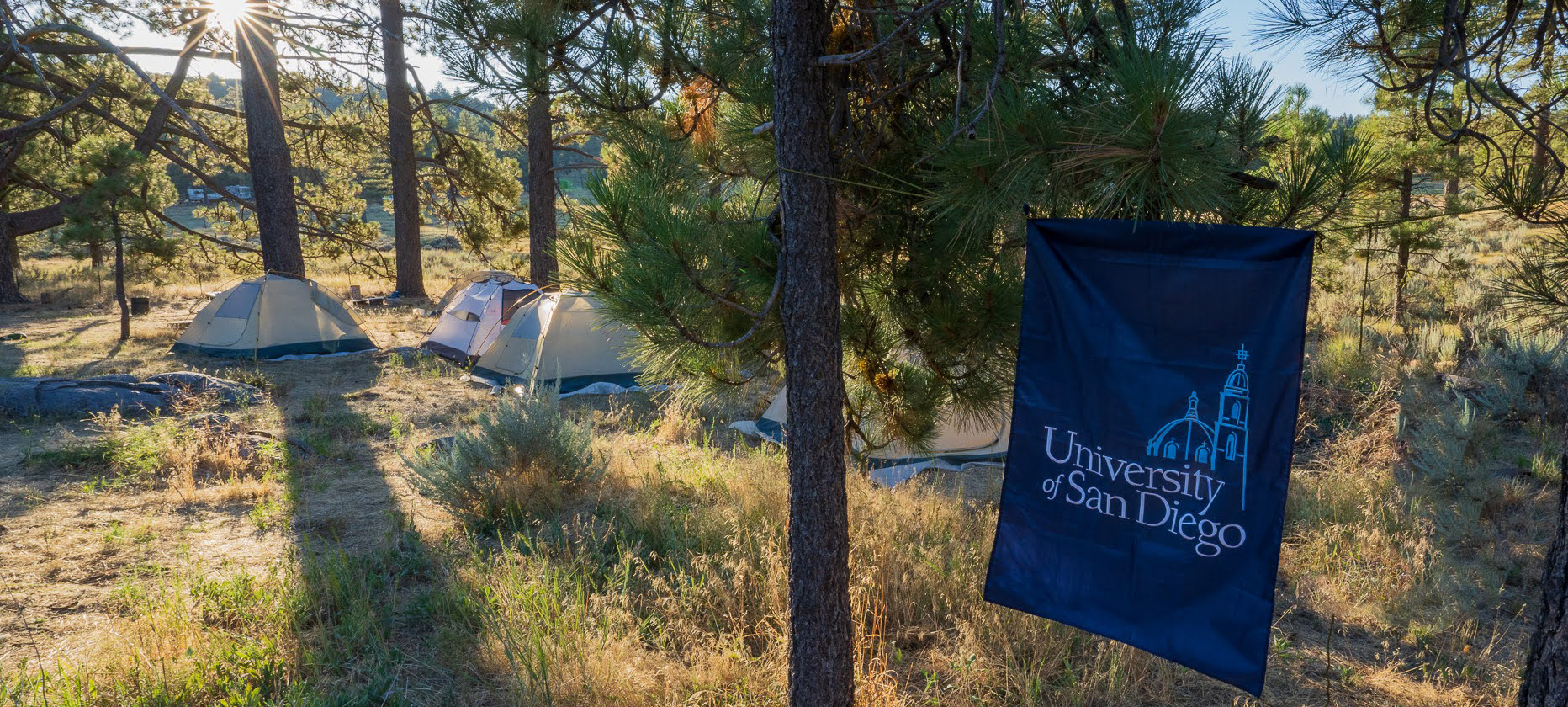 A campsite with a USD flag