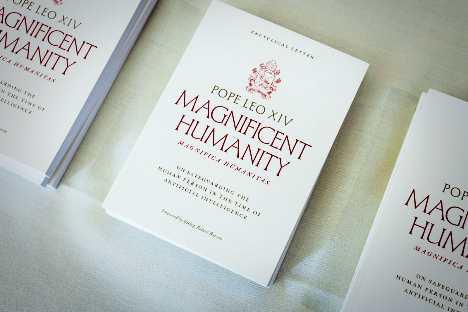 Magnificent Humanity book cover