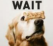 Wait: The Aret and Science of Delay