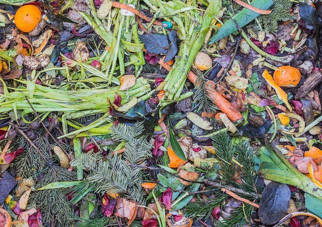composted fruits and veggies