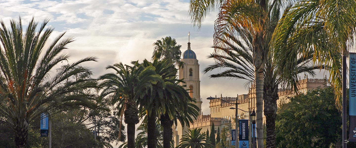 Background image for Scholarships Offered