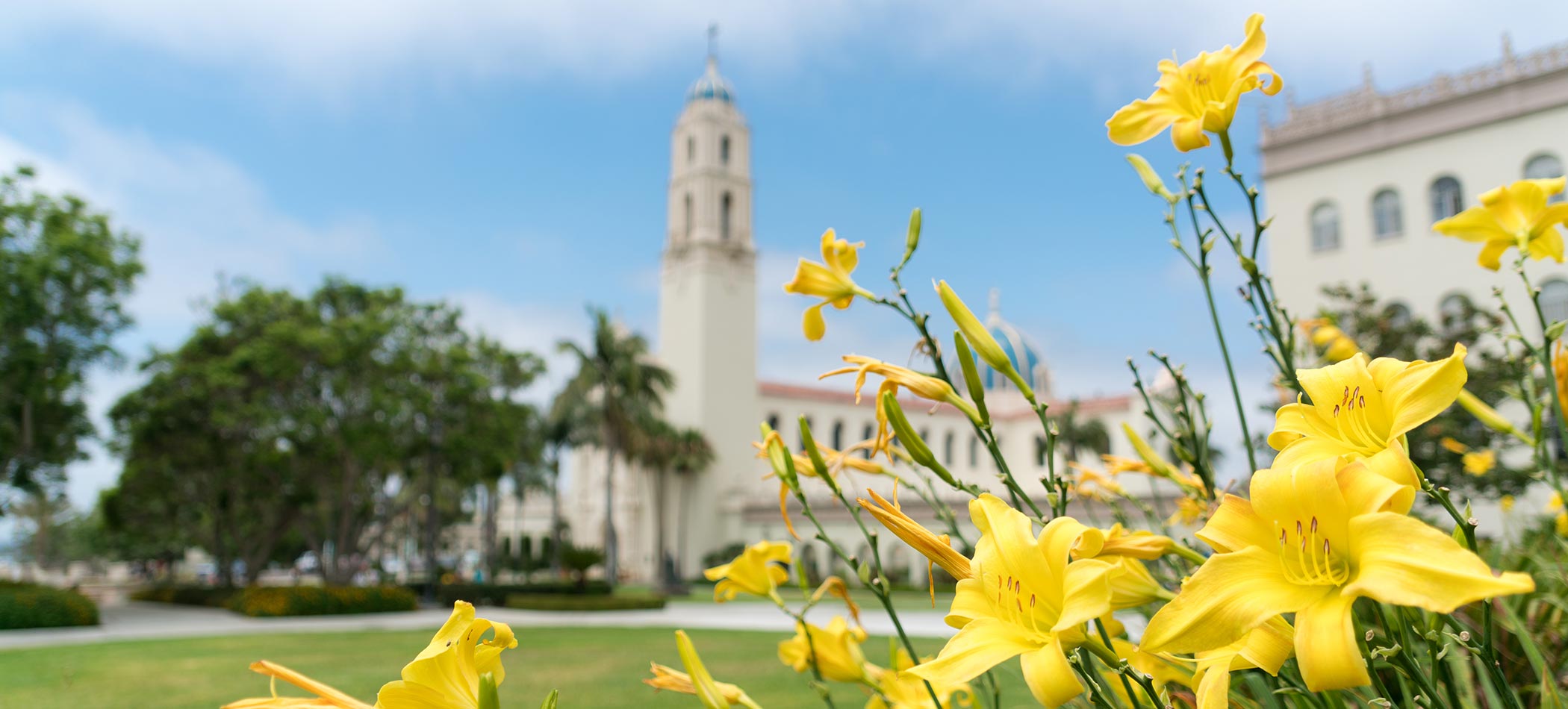 campus in the spring