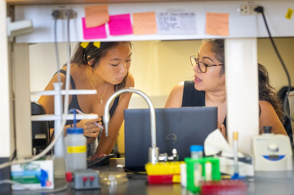 students compiling research in classroom
