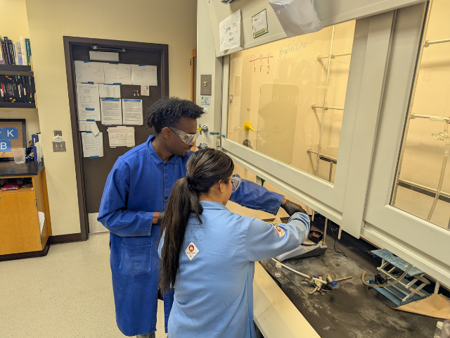 students doing research