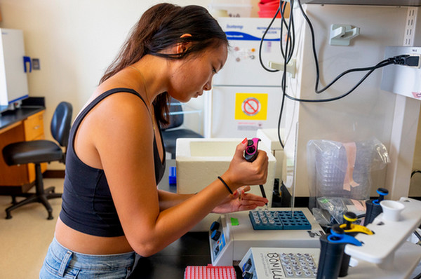 USD students doing research
