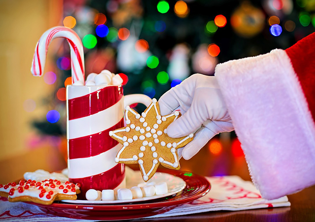 Plate of holiday cookies
