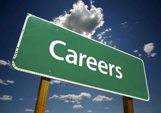Careers in the Law