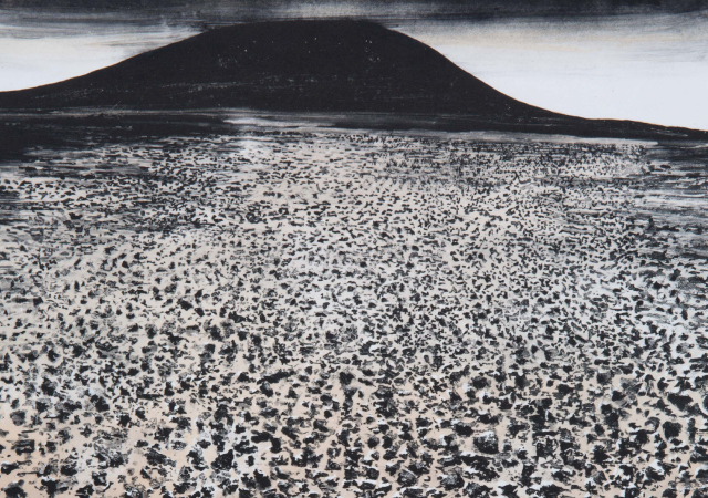 Image of Amboy Crater, close up of the black rocks with pale red clay soil