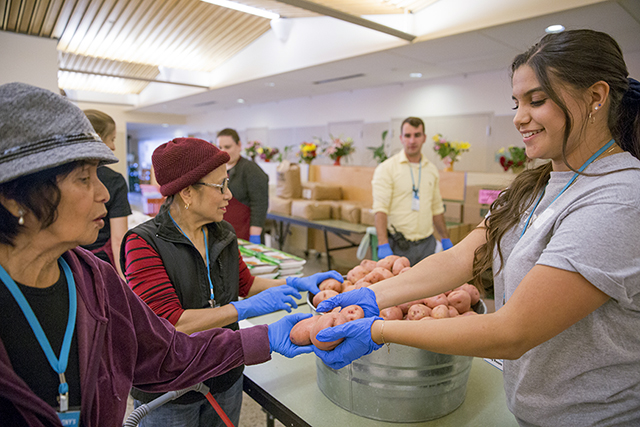 USD College Corps to Pay Undergrads to Conduct Service Work