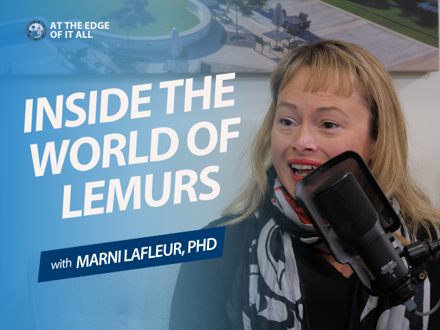 Monica Thieu Podcast Thumbnail on Brain and Emotions