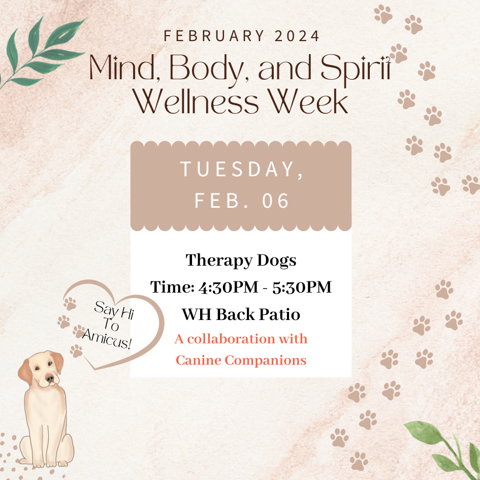 Therapy Dogs