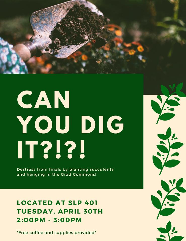 Flyer for DIY Succulents