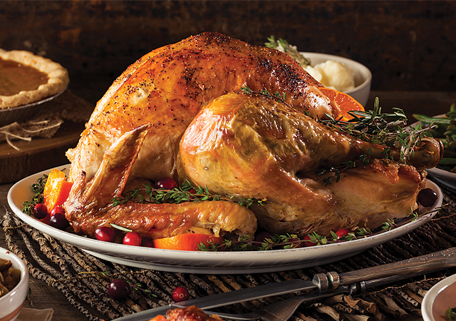 Turkey for Thanksgiving