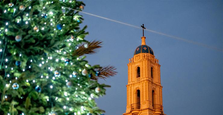 Tree Lighting with Immaculata