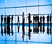 Professional Network Directory