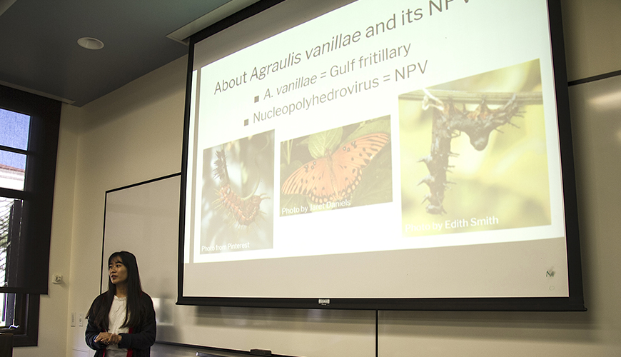 Several USD Summer Research Scholars will present their projects at the Virtual Summer Research Colloquium on Thursday, Aug. 6. Zoom and Blackboard will be utilized.