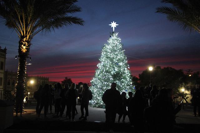 Christmas Tree Lighting 2019