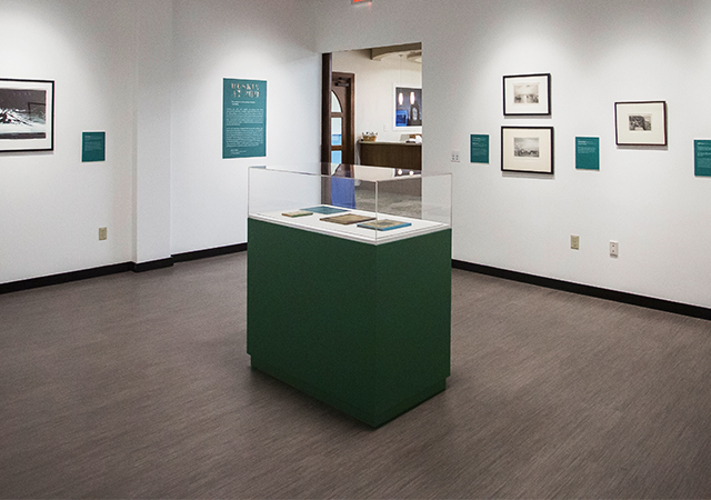 A photo of the humanities center gallery. There is a green display case in the middle of the room and several small pieces of art on the walls. 