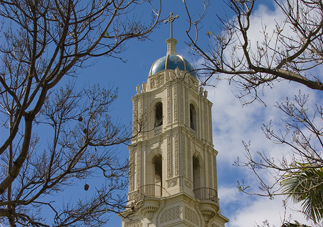 Toreros Together Emergency Fund for Students