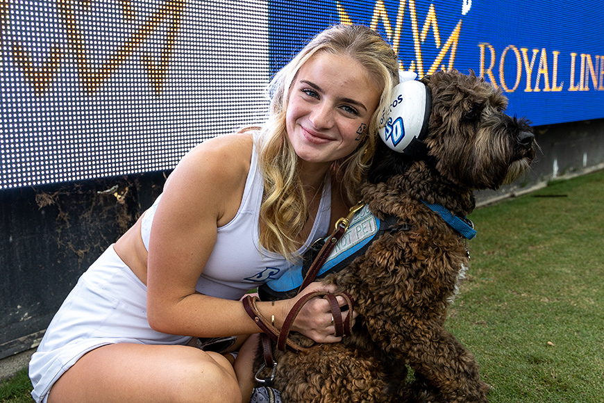 A Torero Homecoming University Of San Diego a-torero-homecoming-university-of-san-diego