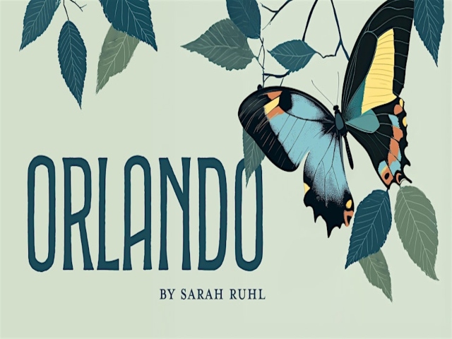 Pale green background with drawn sage green and deep green rough leaves and branches entering the frame from the top of the picture. On the right, a large colorful butterfly with pale blues, yellows a