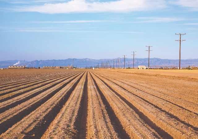 Concrete building in the background, with dry farm fields in front and a line of telephone poles to the right