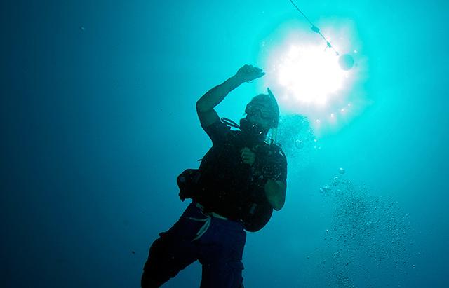 Tom DeCarlo diving