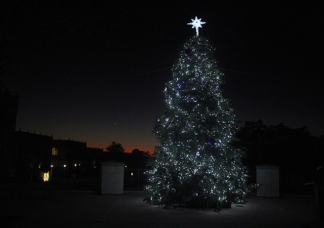 Tree Lighting Dec 1, 2020