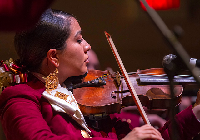 Mariachi violinist in performance