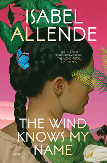 cover of the book, which is a painting of a woman in a long braid and blue butterfly in her hair, looking sideways with a palm front obscuring her face