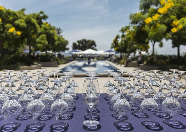 USD Wine Classic Logo