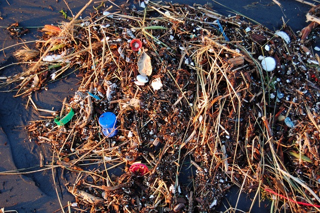 ocean plastic
