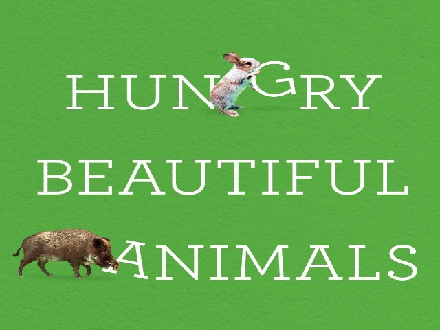 Cover of book Hungry Beautiful Animals.
