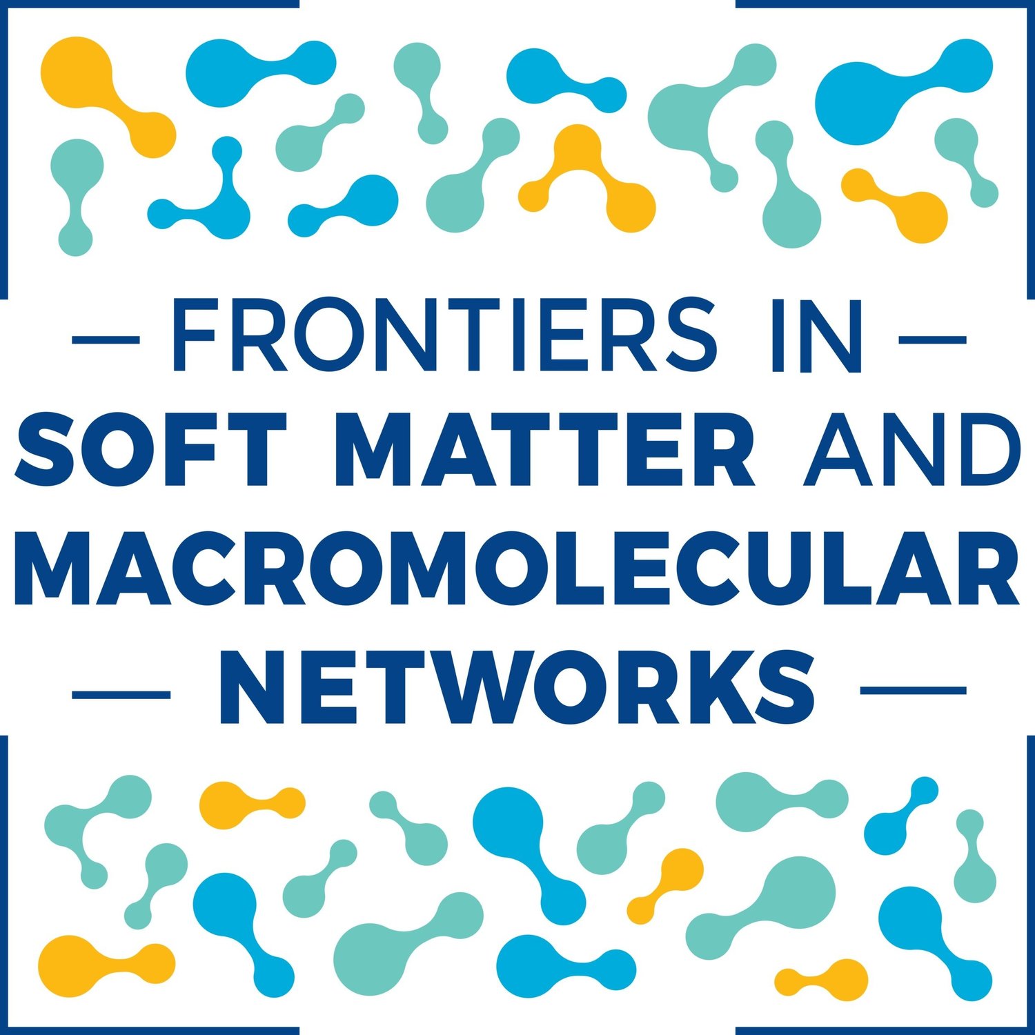 Frontiers in soft matter and macromolecular networks logo