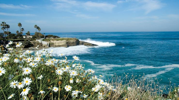 SD Coastline