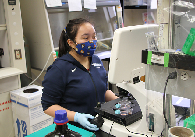 A student in the lab of Chemistry Professor Joseph Provost, PhD, works on a summer in-person research project.