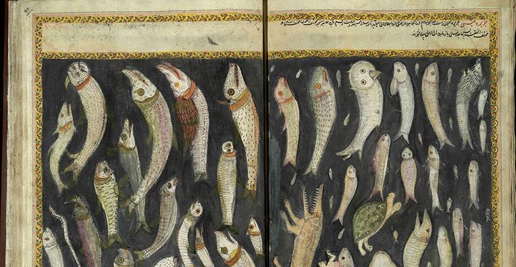 medieval drawing school of fish