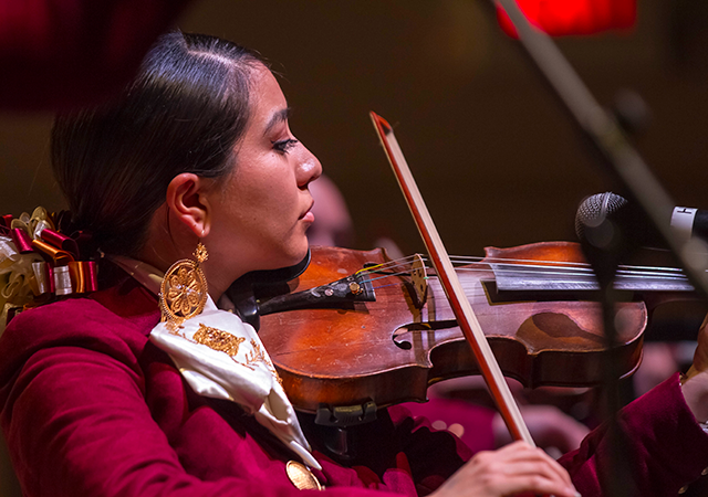 Musician playing violin