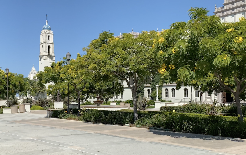 USD Campus Image