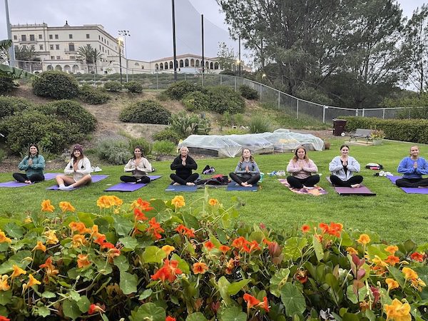 Staff doing yoga on grass lawn