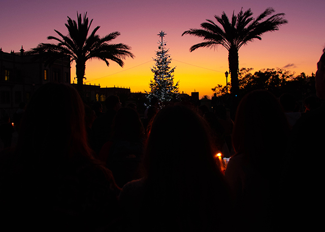 USD Tree Lighting