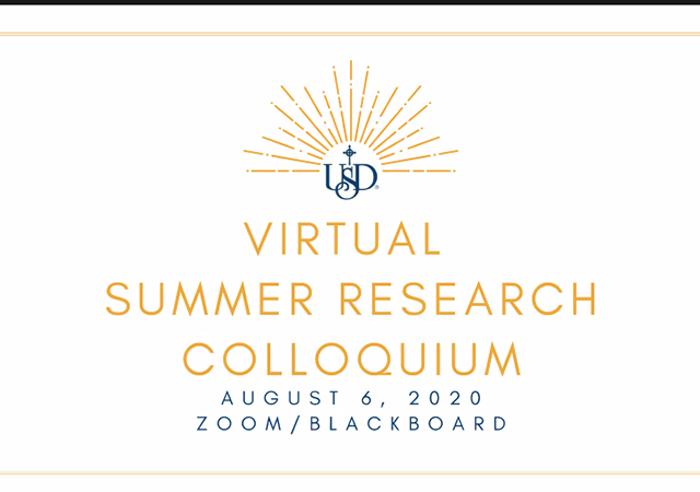 Virtual Summer Research Colloquium 2020