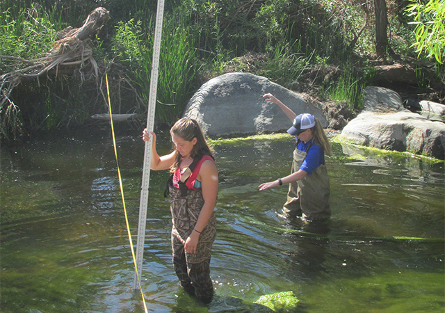 Students standing in body of water conducting research