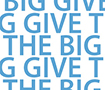Big Give Logo