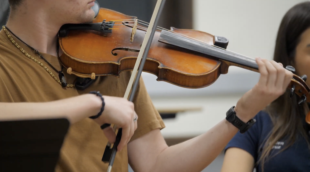 Violin Performer