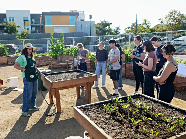 students and one faculty member gathered around a community garden.